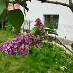 R-house *