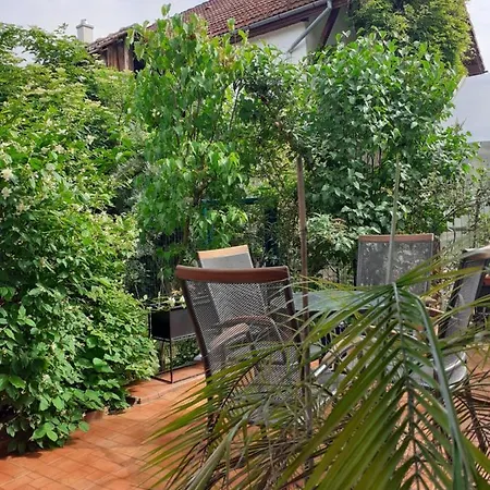 R-house ブラショフ